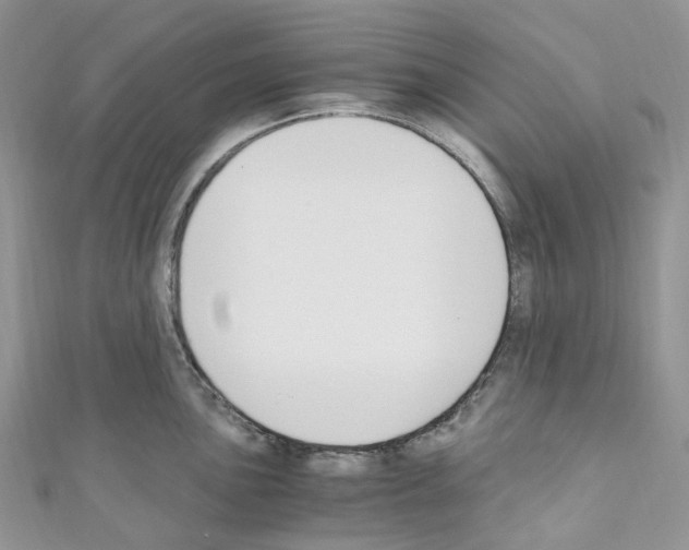 X0000110691051200907241100