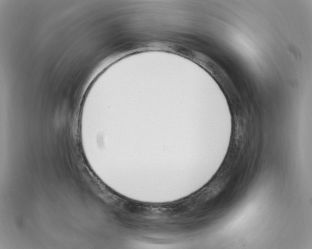 X0000110691052200907241100