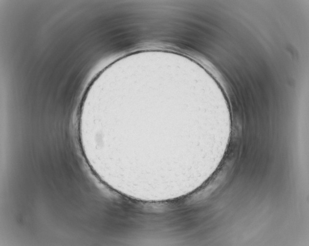 X0000110691053200907241100