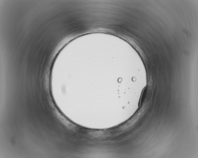 X0000110691054200907241100