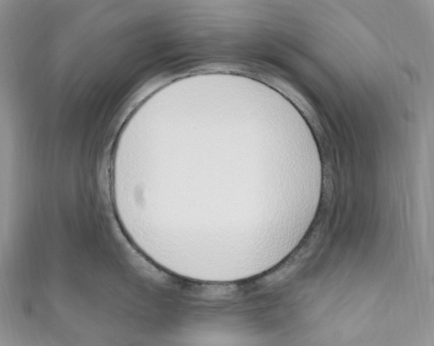 X0000110691055200907241100