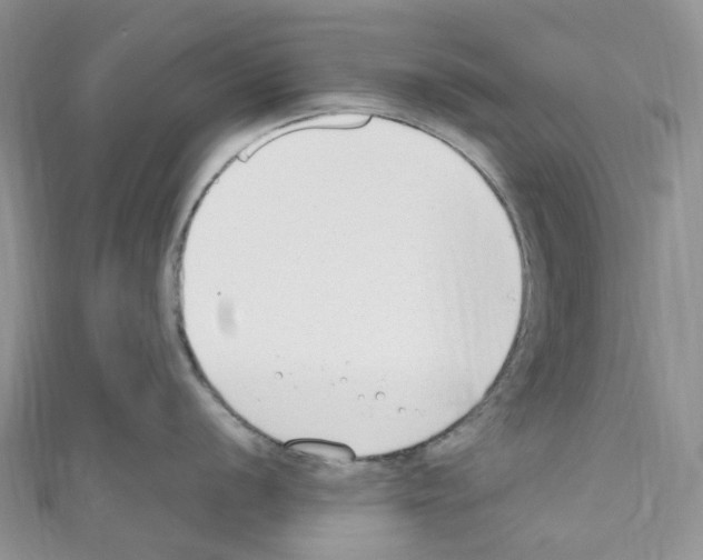 X0000110691056200907241100