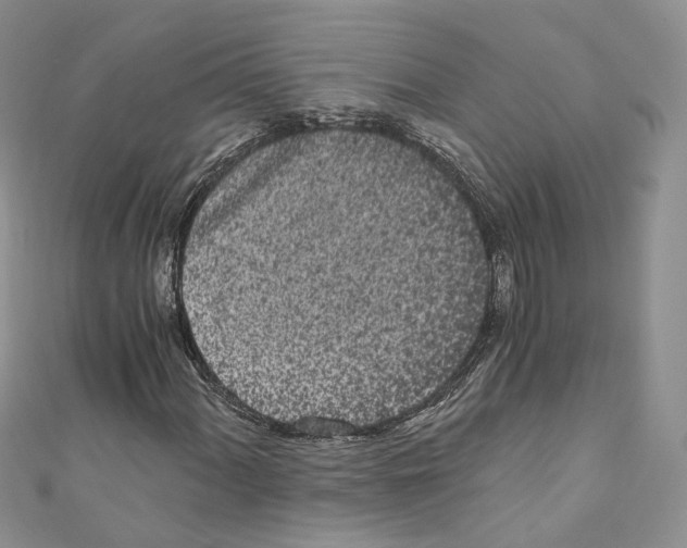 X0000110691060200907241059