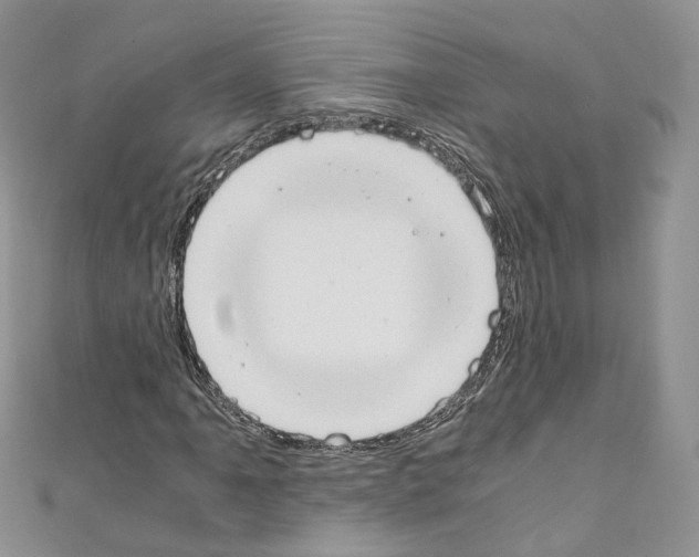 X0000110691061200907241059