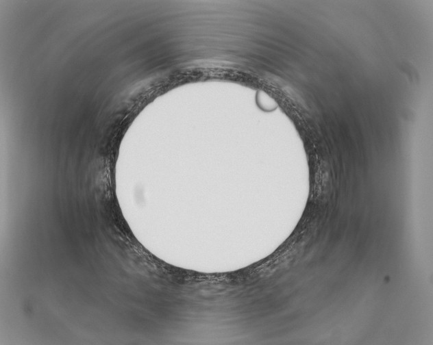 X0000110691062200907241059