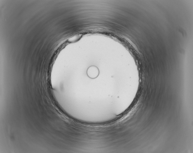 X0000110691065200907241059