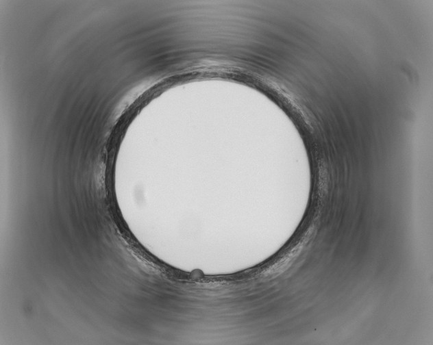 X0000110691066200907241059