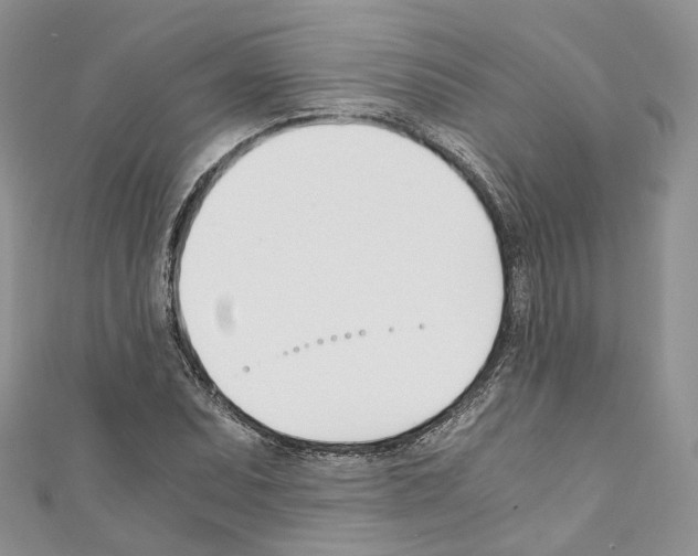 X0000110691071200907241059