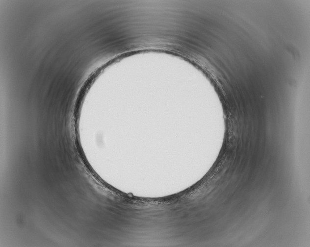 X0000110691072200907241059