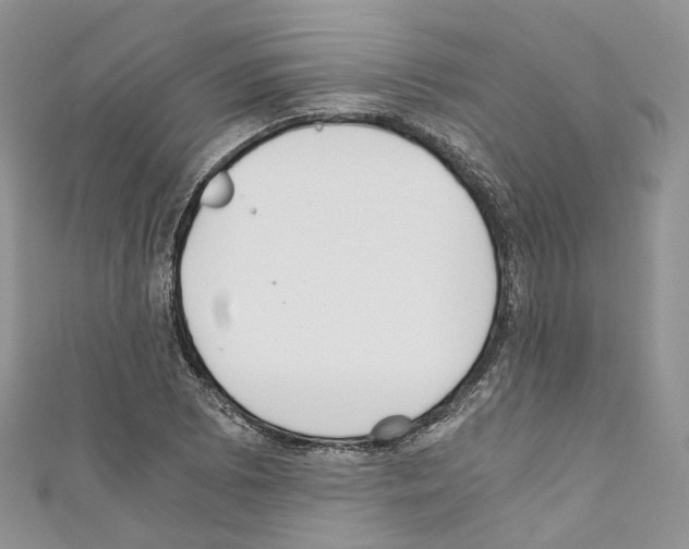 X0000110691073200907241059