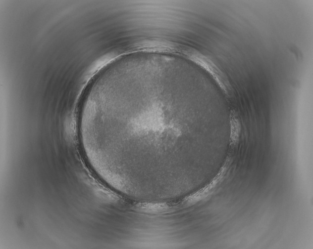 X0000110691074200907241059