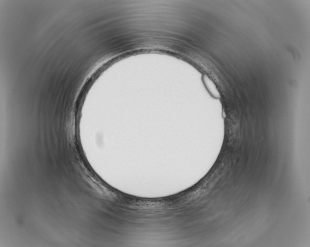 X0000110691076200907241059