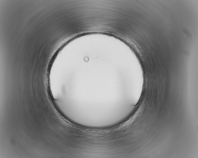 X0000110691077200907241059