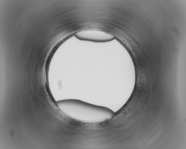 X0000110691080200907241059