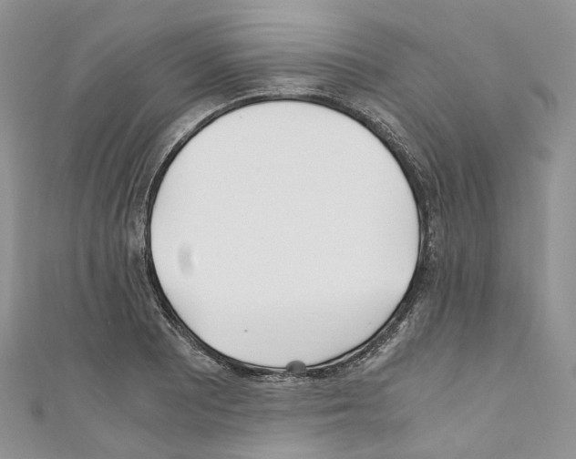 X0000110691081200907241059