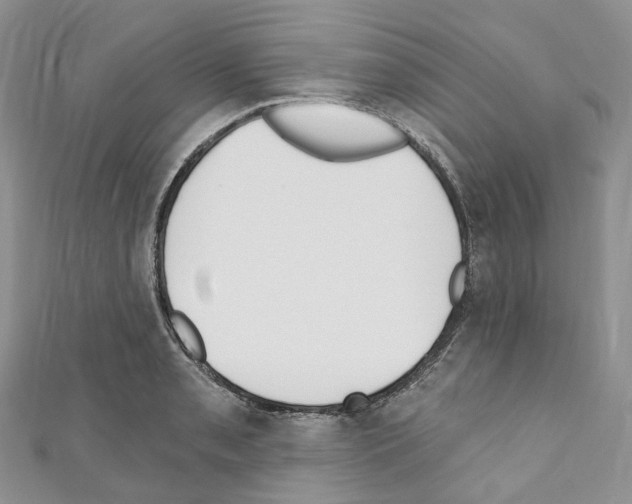 X0000110691085200907241059