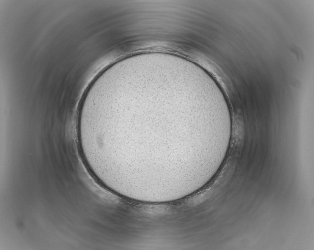 X0000110691090200907241059