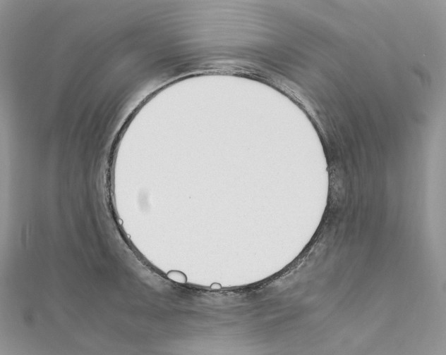 X0000110691091200907241059