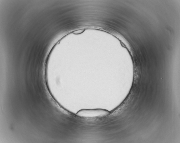 X0000110691096200907241059