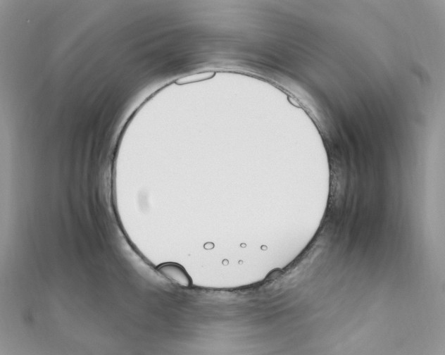 X0000110691100200907241059