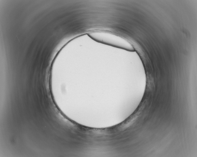 X0000110691102200907241059