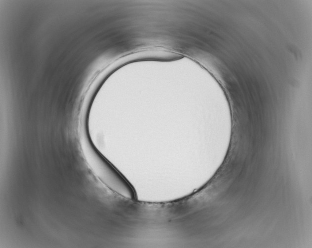 X0000110691104200907241059