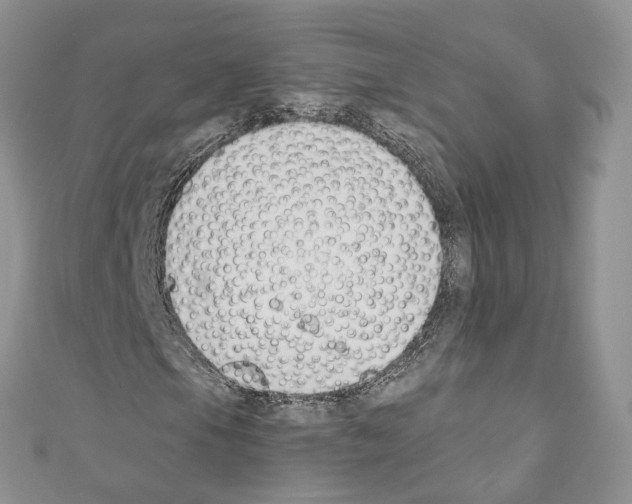 X0000110691105200907241058