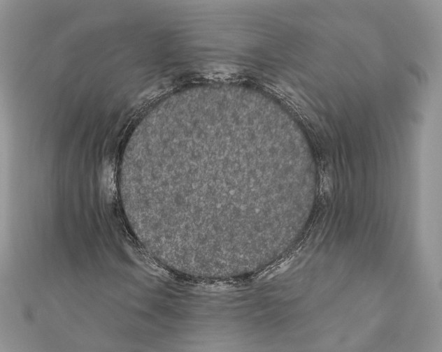 X0000110691106200907241058