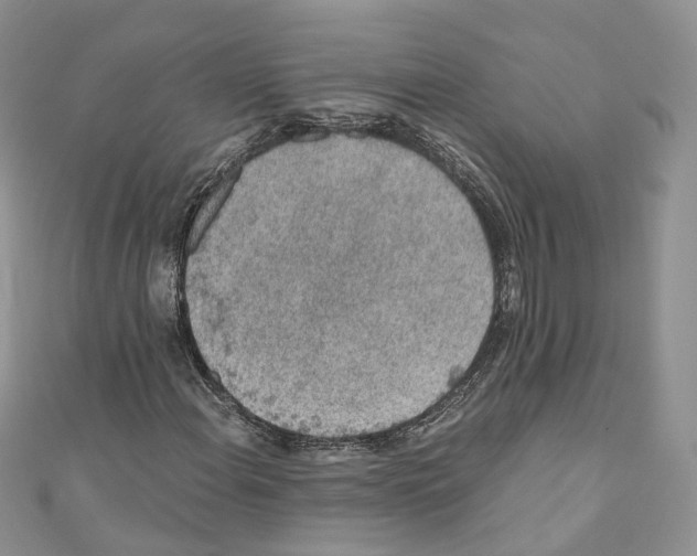 X0000110691108200907241058