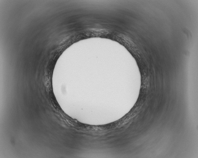 X0000110691109200907241058