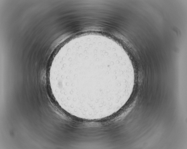 X0000110691113200907241058