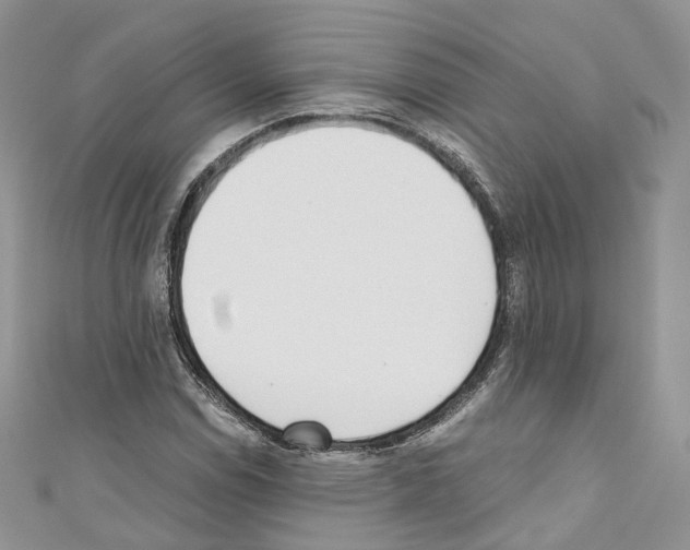 X0000110691114200907241058