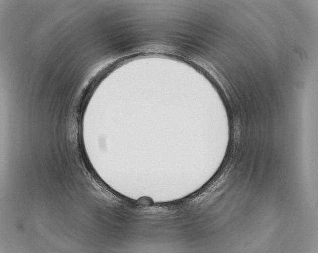 X0000110691115200907241058