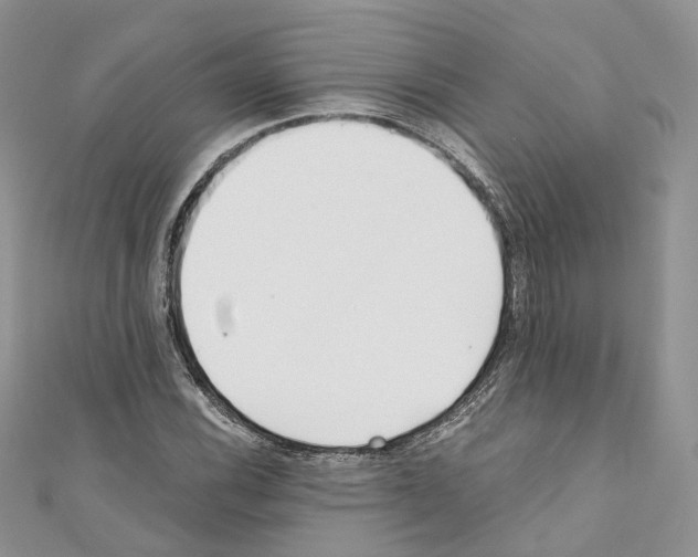 X0000110691116200907241058