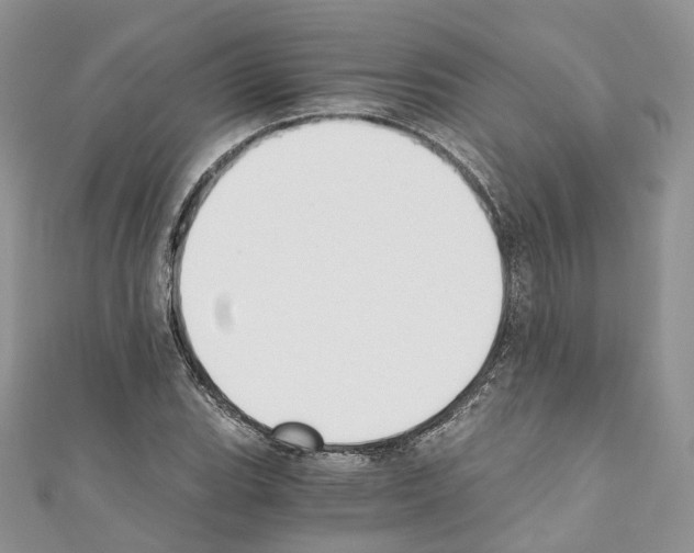 X0000110691119200907241058