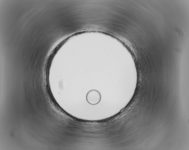 X0000110691120200907241058