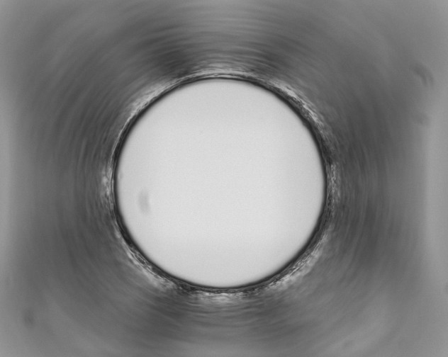 X0000110691121200907241058