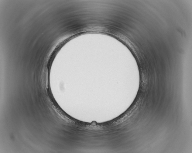 X0000110691123200907241058