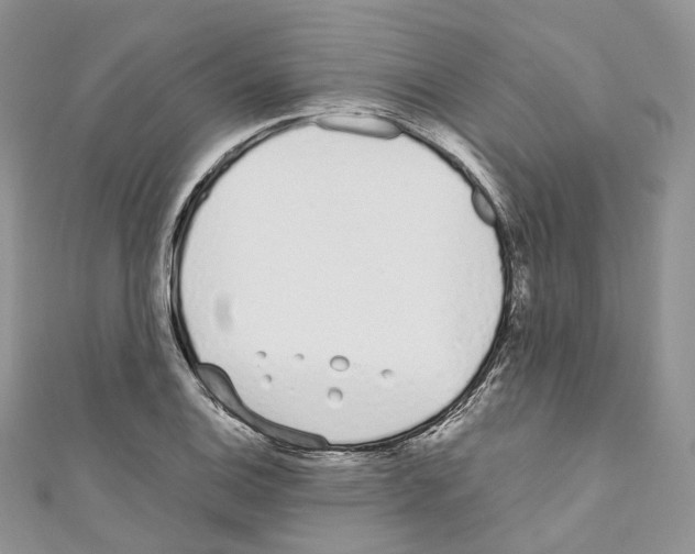 X0000110691124200907241058