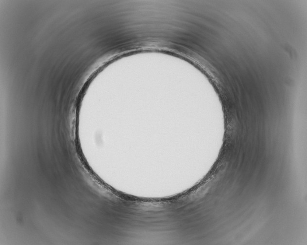 X0000110691126200907241058