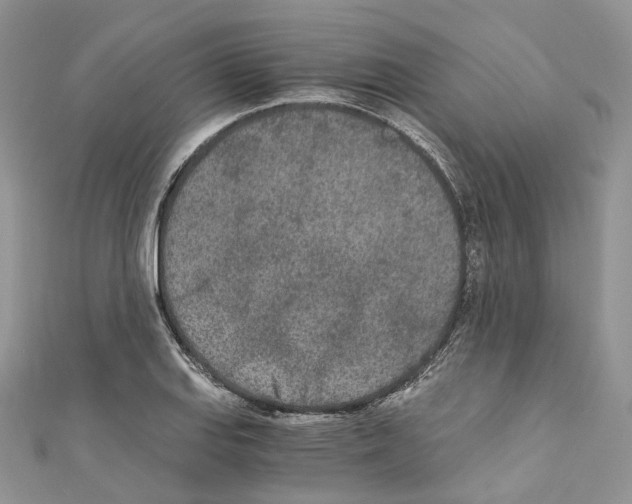 X0000110691127200907241058