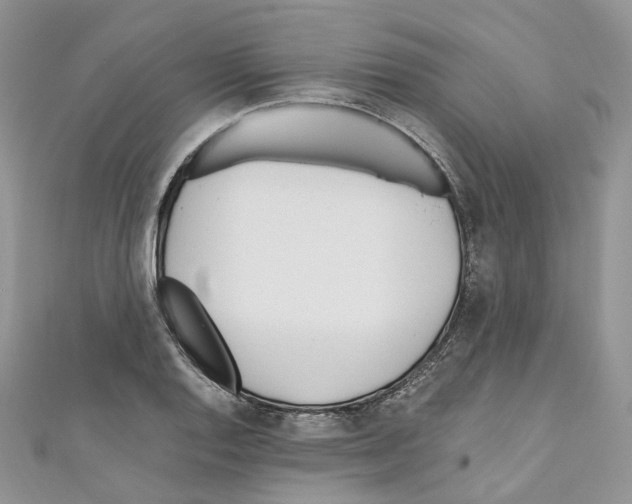 X0000110691128200907241058