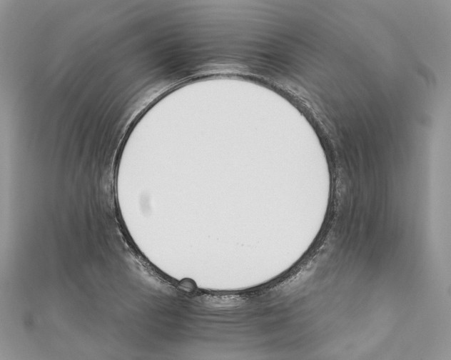 X0000110691129200907241058