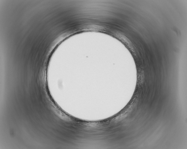 X0000110691130200907241058