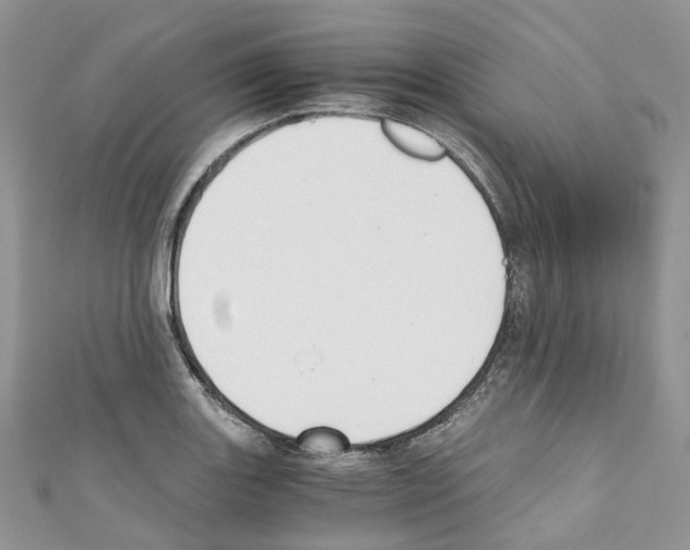 X0000110691131200907241058