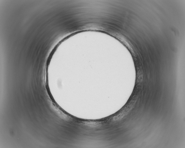 X0000110691132200907241058