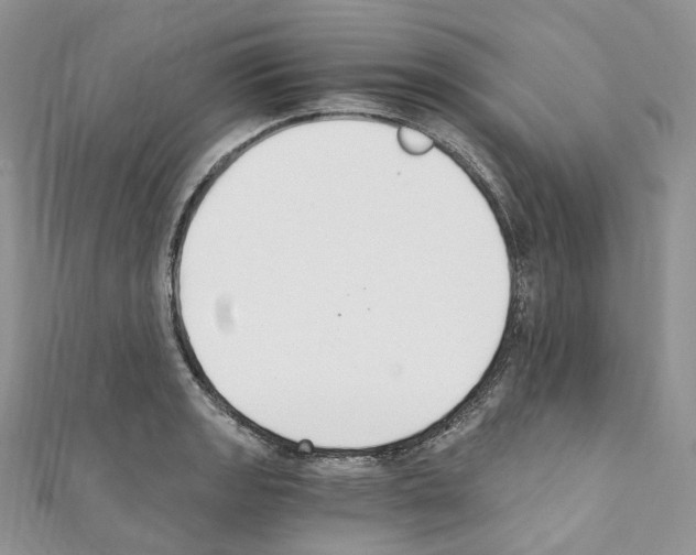 X0000110691133200907241058