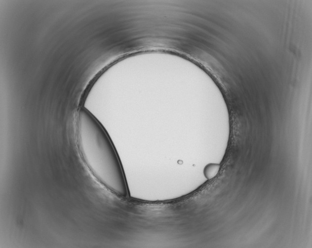 X0000110691134200907241058