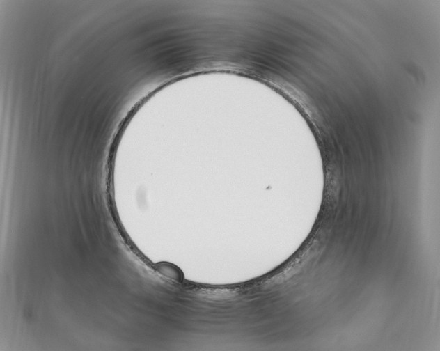 X0000110691135200907241058