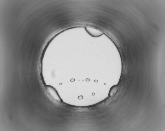 X0000110691136200907241058